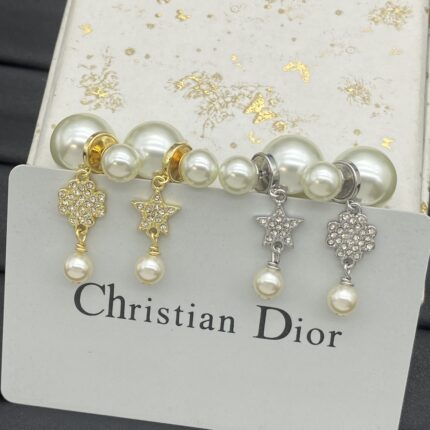 DiShi4102408 DIOR Earrings