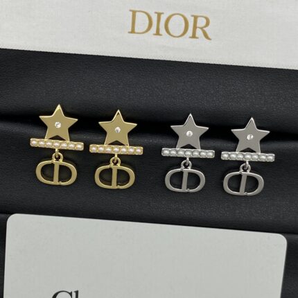 DiShi4102410 DIOR Earrings